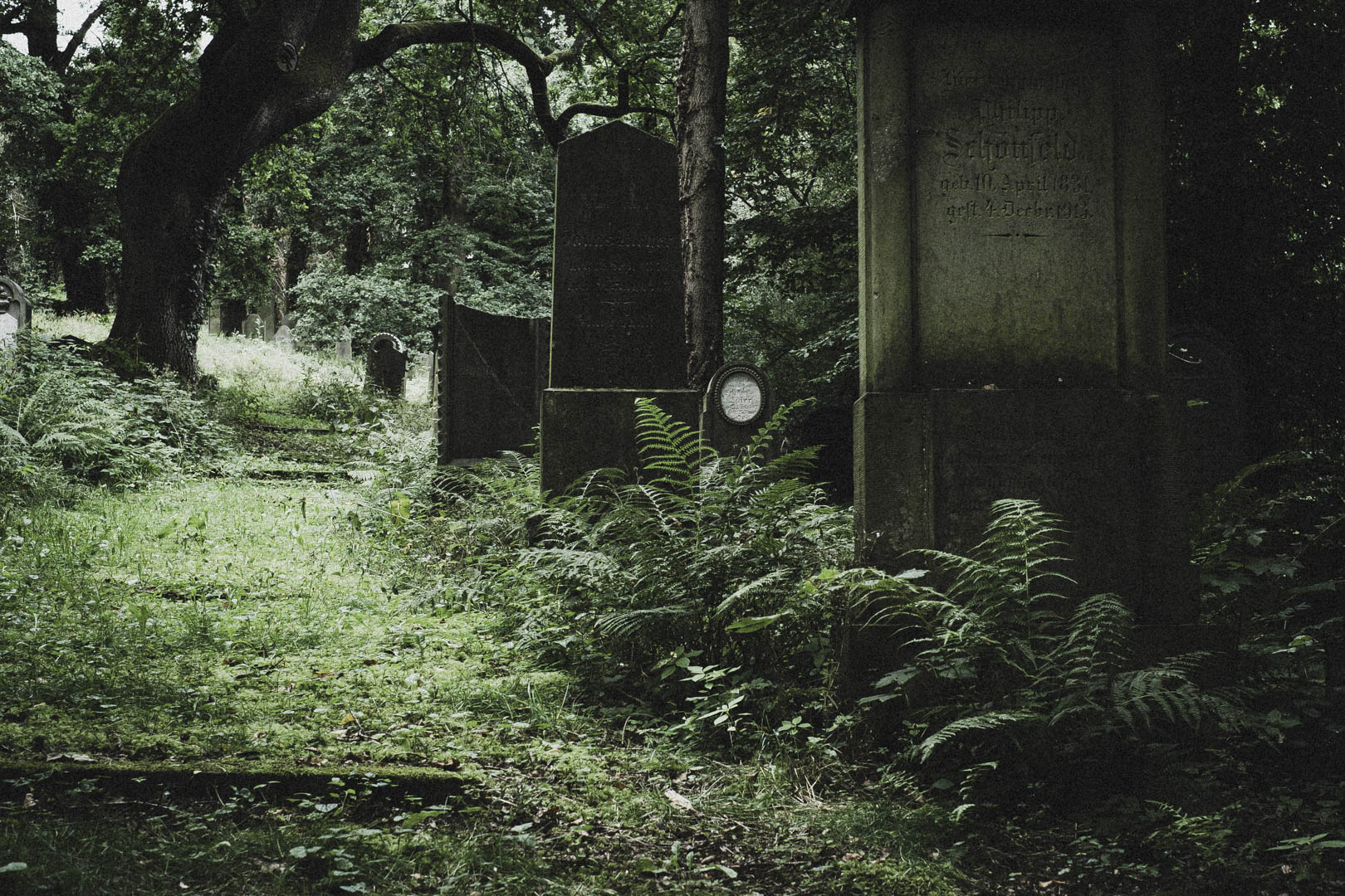 Obernkirchen, Jüdischer Friedhof